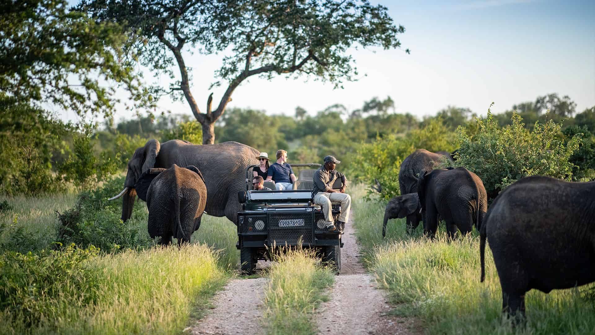 Kruger National Park, Mpumalanga